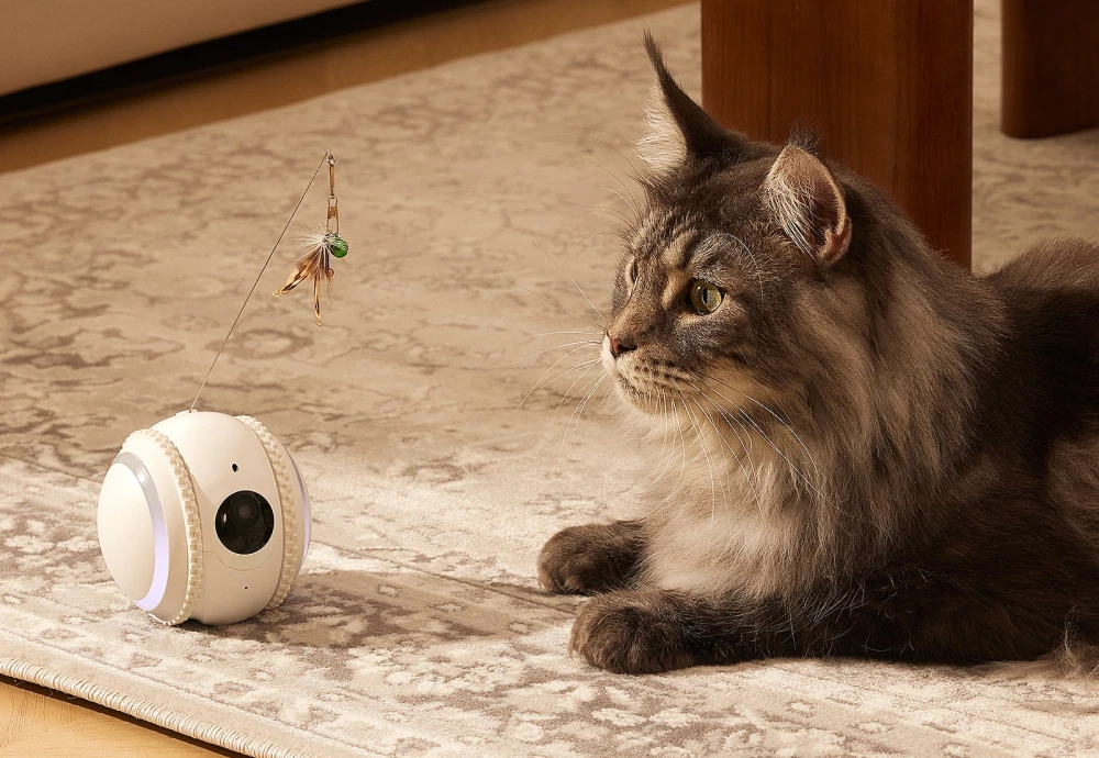 home pet camera