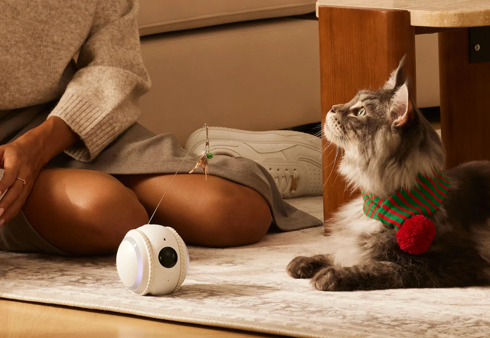 best indoor pet camera