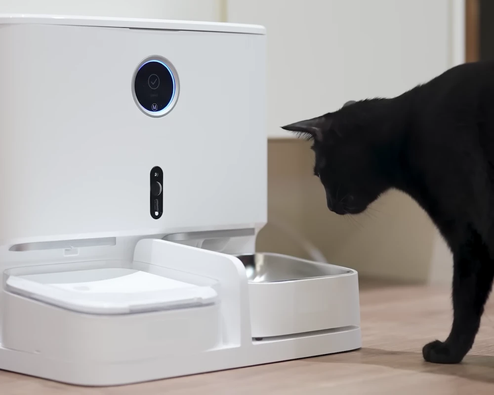 automatic pet feeder and water