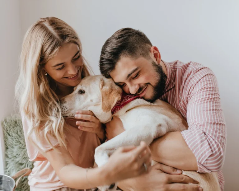 best automatic cat feeder with camera